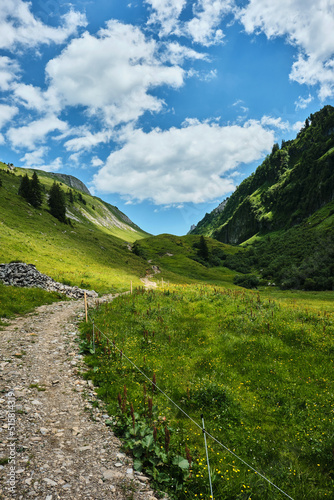 landscape in the mountains