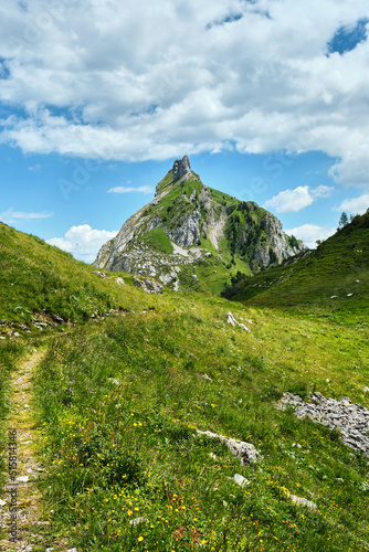 mountain landscape in summer