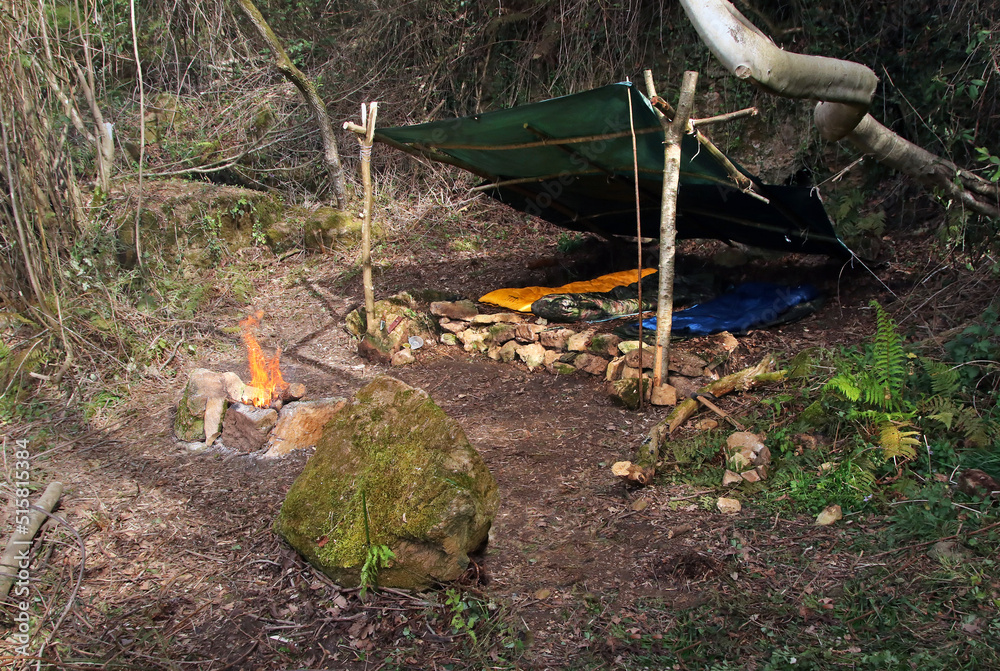 Bushcraft shelter built in the middle of an atlantic tree forest. Wooden  shelter with a tarp and a fire pit made of stones. Campsite built outdoors  and concept of survival activities. Stock