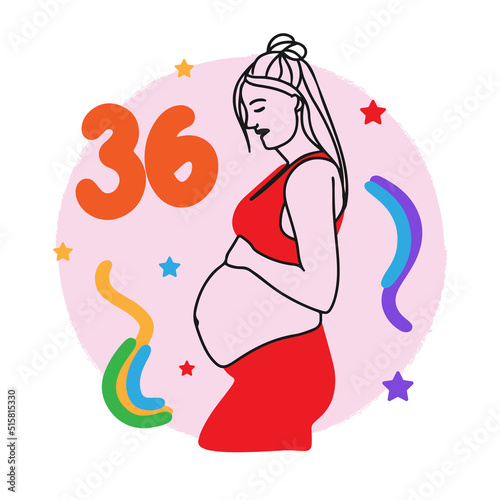 Pregnancy term, counting weeks, pregnant girl, big belly, expectant mother, doodle
