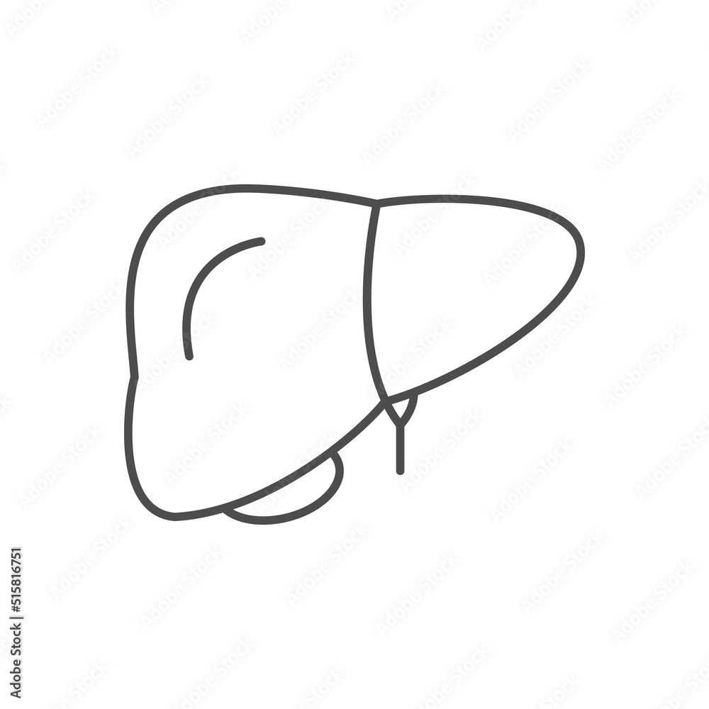 Human liver line outline icon Human liver line outline icon