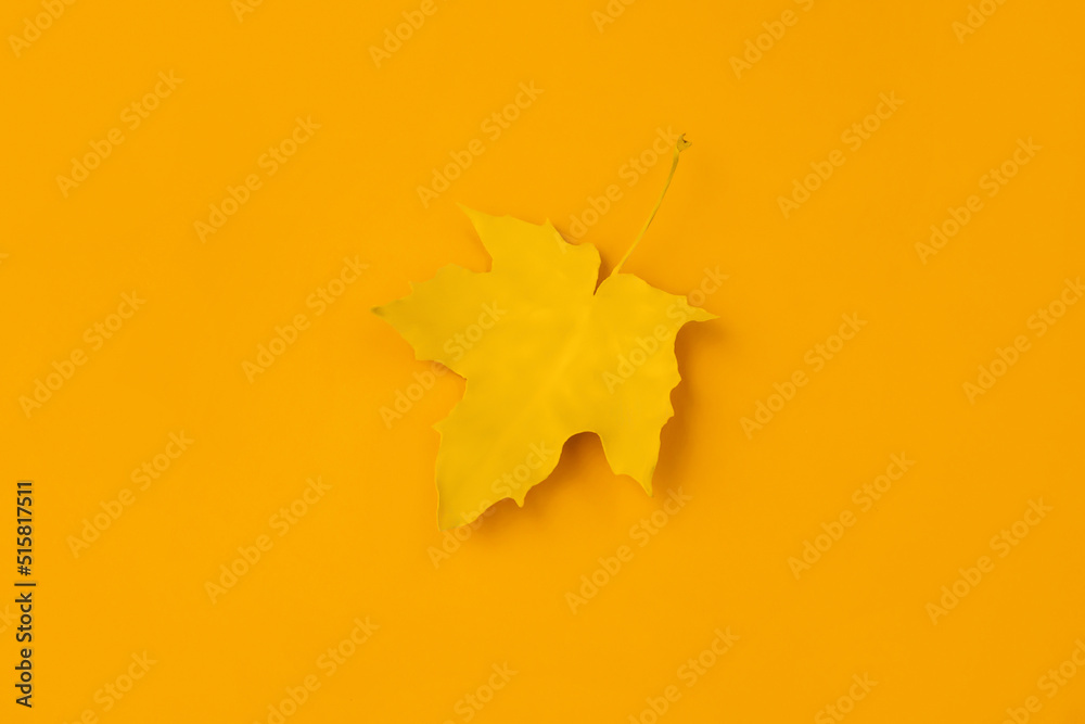 Minimal composition with painted yellow maple leaf on orange background, top view. Arrives autumn concept. Minimal composition with painted yellow maple leaf on orange background, top view. Arrives autumn concept.