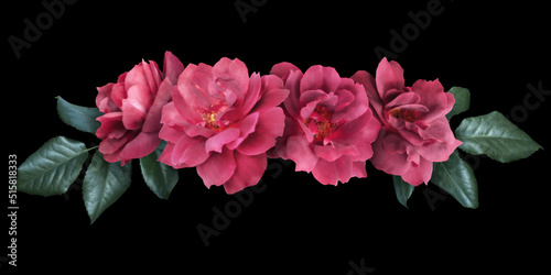 Red roses isolated on black background. Floral arrangement, bouquet of garden flowers. Can be used for invitations, greeting, wedding card. © RinaM