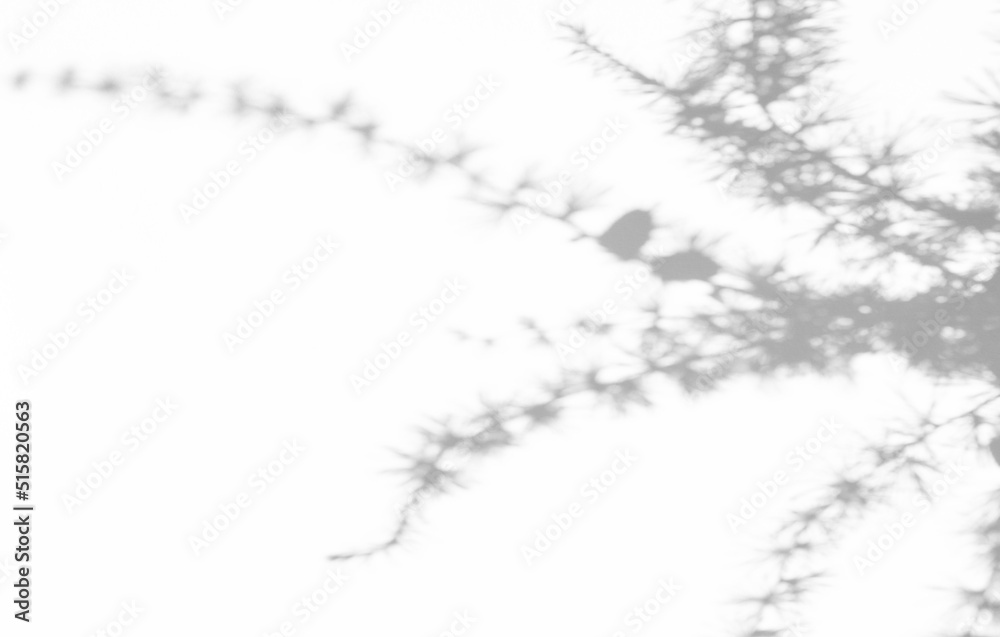 Shadows of leaves on a light background. Minimal concept. Creative copy space. Abstract concept of neutral nature. Blurred background. Photo overlay effect.