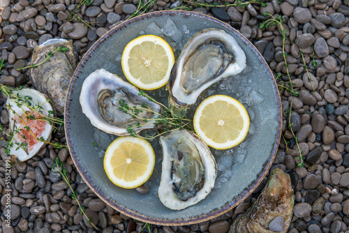 Fresh oysters in lemon and ice shells