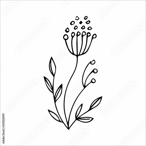hand-drawn doodle plant element for floral design concept