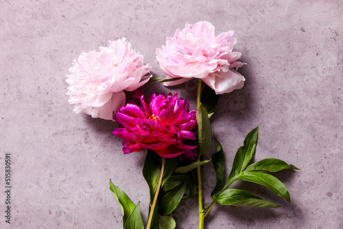 Delicate white-pink peonies