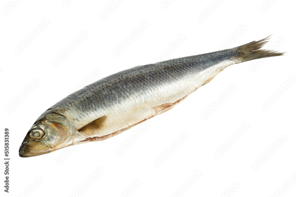 Salted and gutted herring on a white background, sea food. Salted and gutted herring on a white background, sea food.