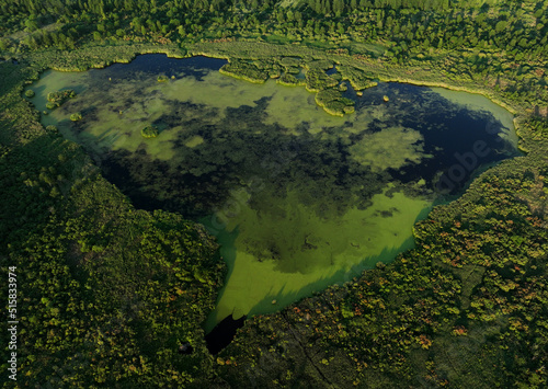 Lake in shape of a heart in forest. Freshwater Lakes. Water supply problems and water deficit, ecology and environmental. Morass and wetlands, aerial view. Mire Conservation. Bog, fen, mire landscape.