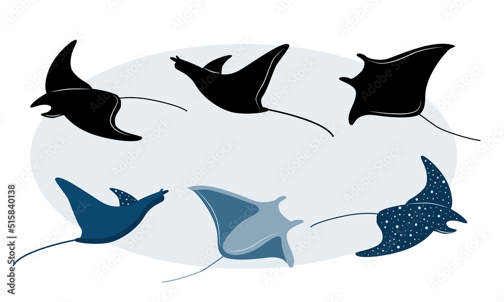 Stingray silhouette set and stylized, Manta ray Stingray silhouette set and stylized, Manta ray