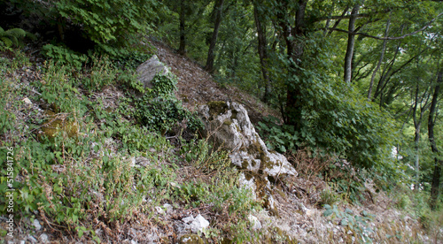 Rocce lungo il sentiero di montagna a fonte avellana