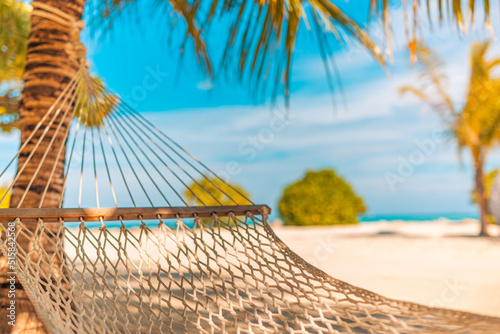 Tropical hammock in paradise at sunset, closeup recreational summer background. Relaxation, carefree beach scene, palm leaves, sunset light. Tranquil beautiful couple leisure tropical lifestyle