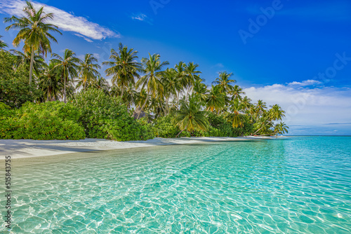 Paradise island beach. Tropical landscape of summer scenery, sea sand sky palm trees. Luxury travel vacation destination. Exotic beach landscape. Amazing nature, relax, freedom nature concept Maldives photo