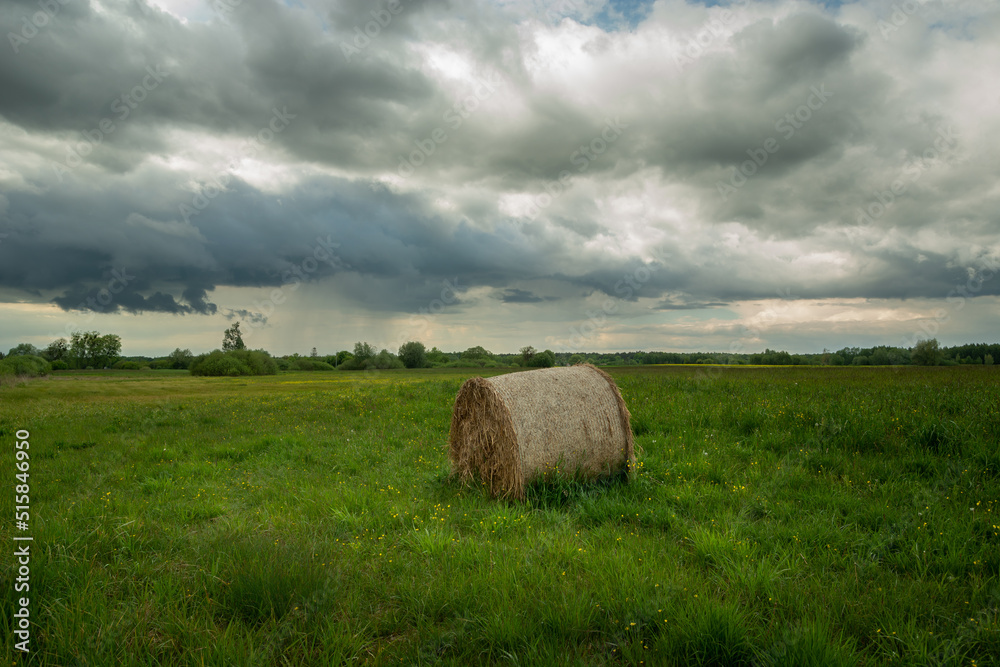 Hay bale in meadow and cloudy sky