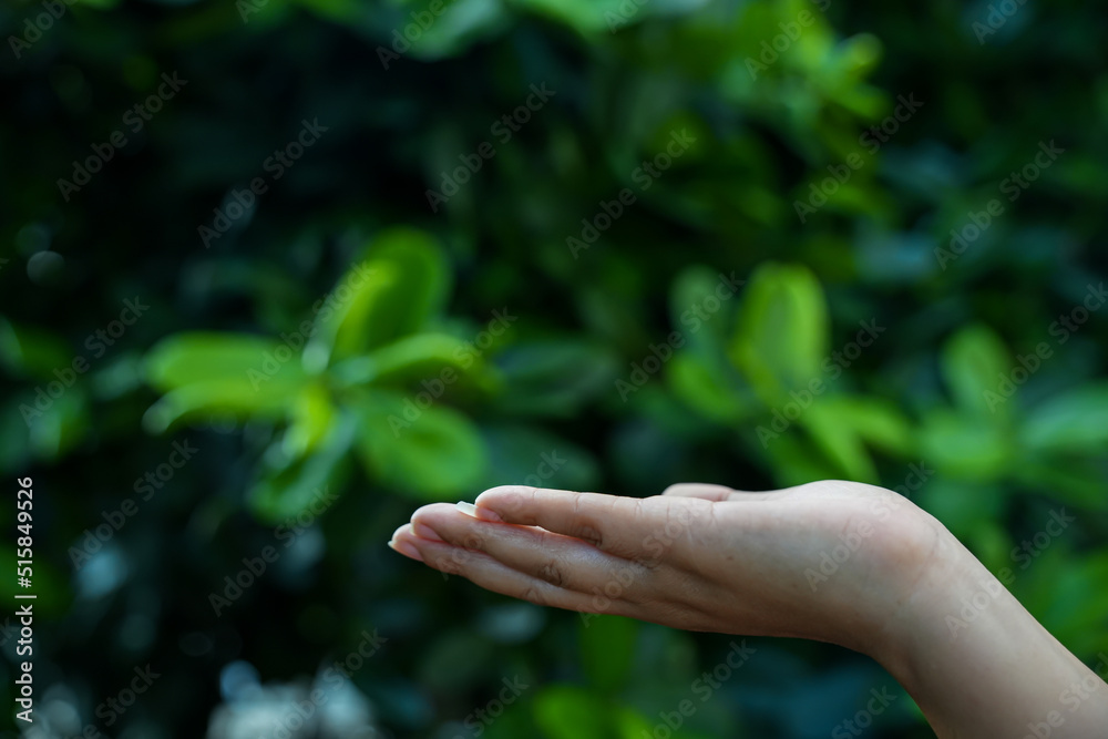 Technology, Hands holding globe of tropical nature summer background, Technology, Hands holding globe of tropical nature summer background,