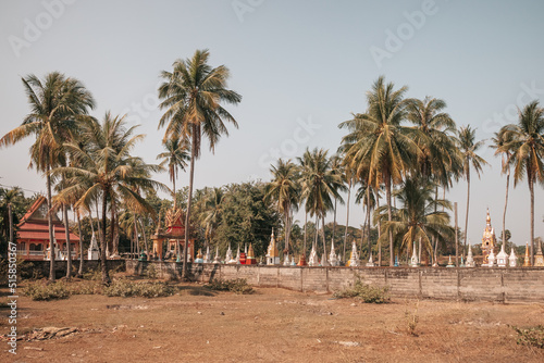 Don Det, Laos - January 18th, 2020 : view palm trees and buddhist stupas in the south of Laos on a sunny day with grass in the foreground