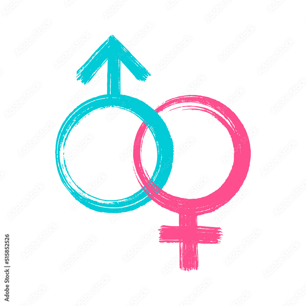 Female and Male gender symbols. Blue and pink ink brush and paint texture. Vector illustration Female and Male gender symbols. Blue and pink ink brush and paint texture. Vector illustration