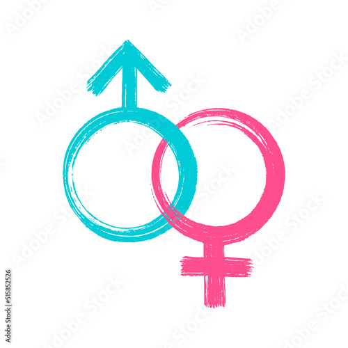 Female and Male gender symbols. Blue and pink ink brush and paint texture. Vector illustration