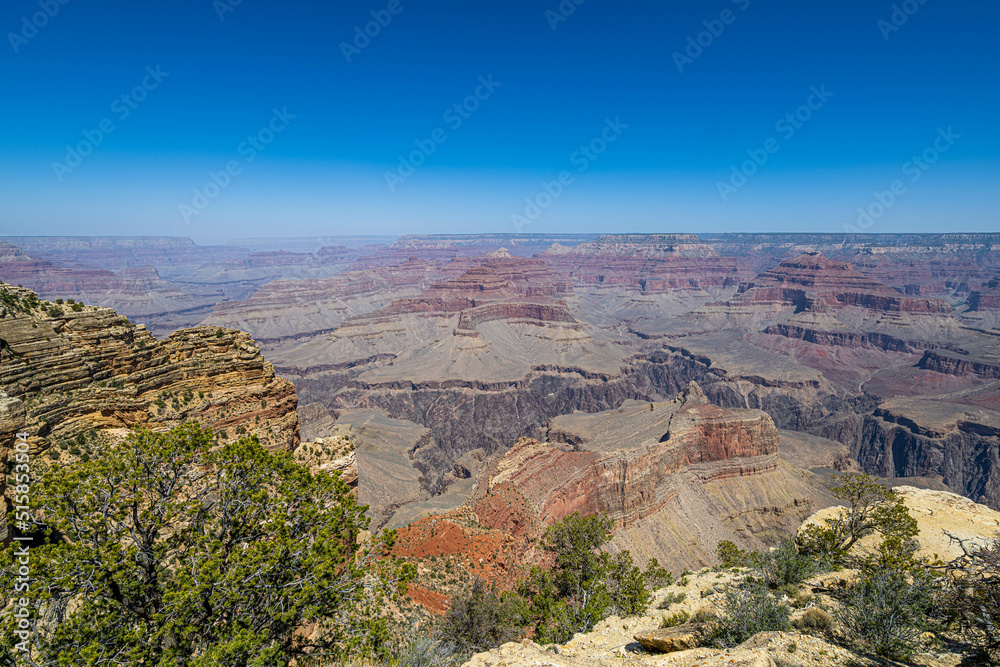 Grand Canyon View Along the Rim Trail
