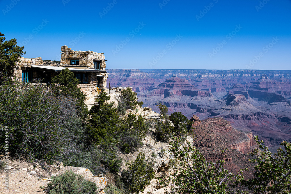 Grand Canyon View Along the Rim Trail