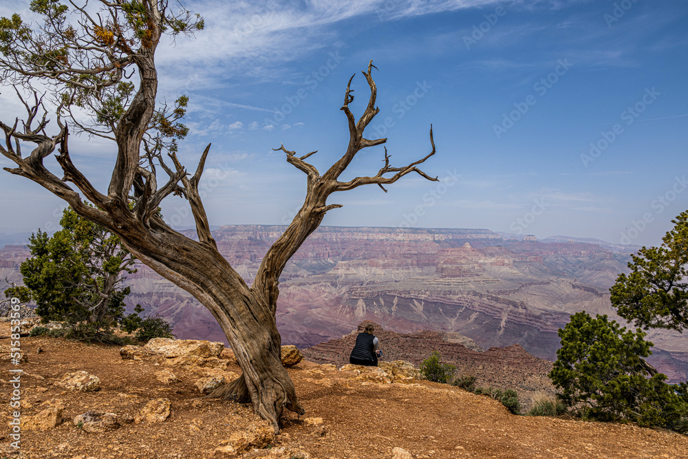 View of the Grand Canyon from Desert View View of the Grand Canyon from Desert View