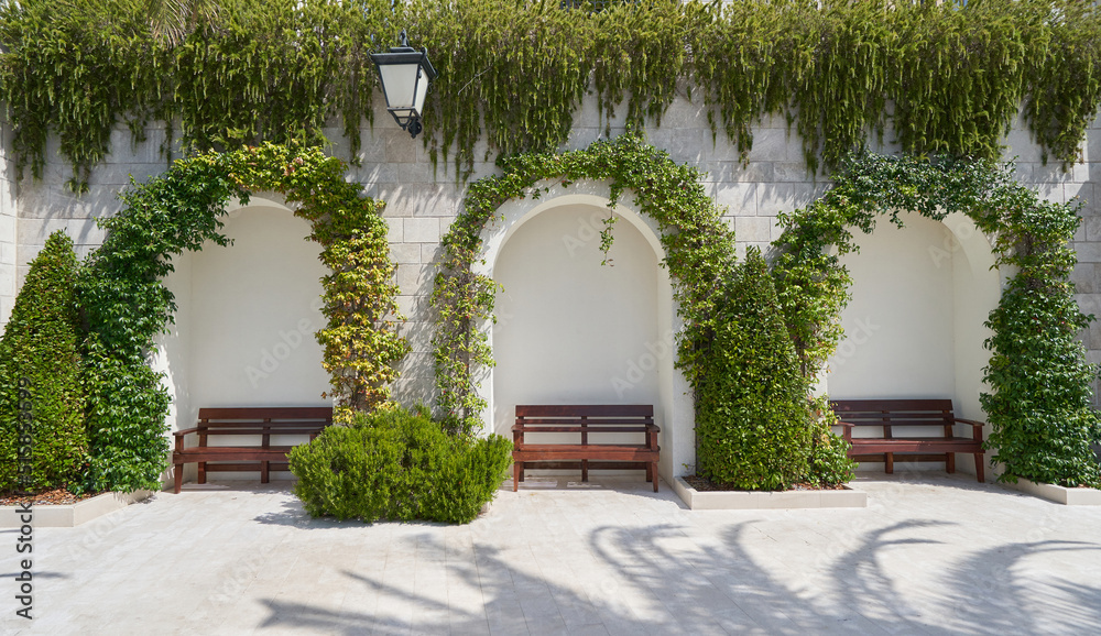 Ornamental garden with benches by the arched ivy wall
