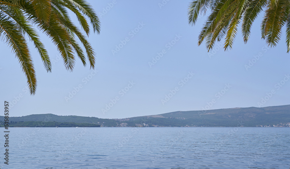 Nature background of palm branches against the sea and mountains, travel concept Nature background of palm branches against the sea and mountains, travel concept