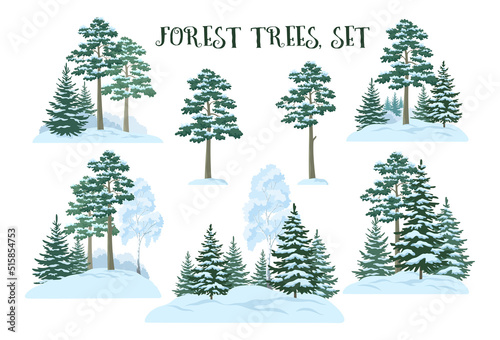 Seamless Horizontal Christmas Winter Forest Landscape with Birch, Firs Trees and Sky with Snow and Clouds. Vector