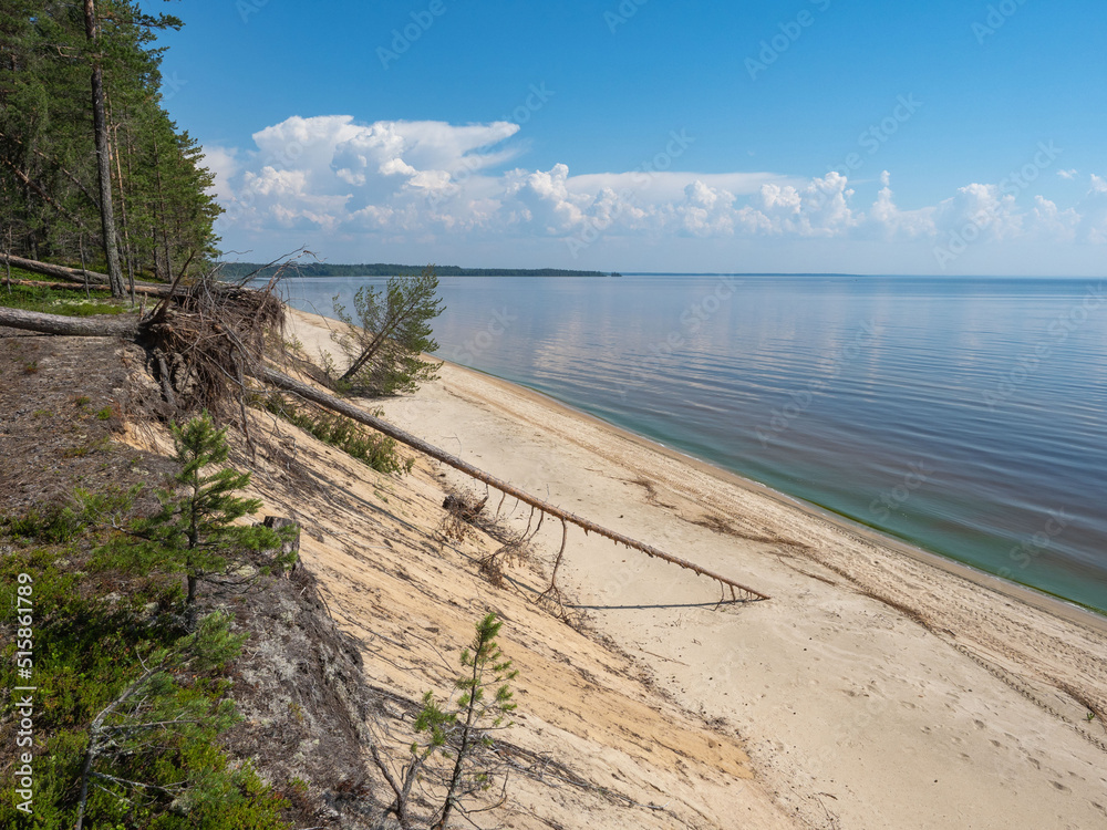 Obraz premium Sandy shore of the Onega Lake in Karelia, northwest of Russia overgrown with forest. Calm on the lake in summer, sandy beach