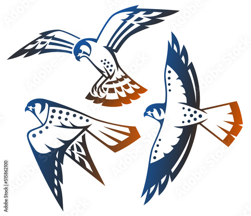Stylized Birds - American Kestrel
