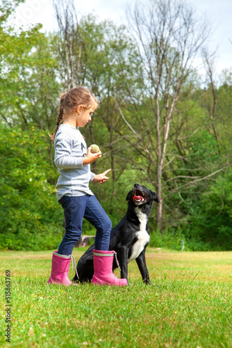 Cute little girl training her black female dog from dog shelter in summer in park