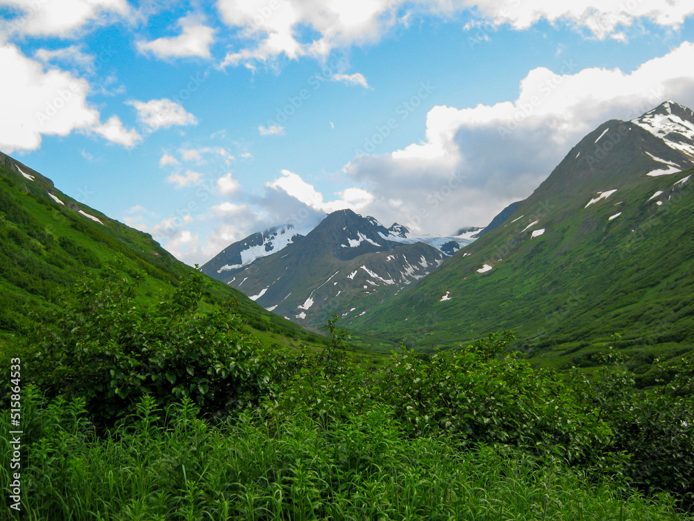 Fototapeta premium Lush green valley with thick vegetation in foreground, snow on mountains in background, blue sky