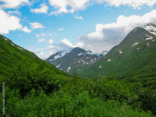 Lush green valley with thick vegetation in foreground, snow on mountains in background, blue sky
