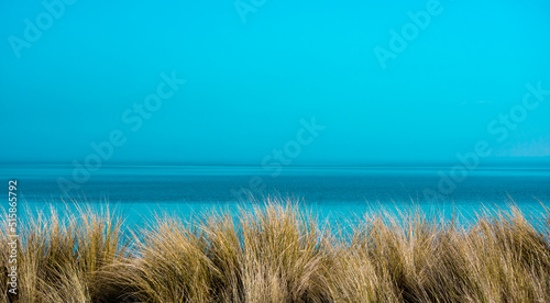 grass in the sea. ocean background. landscape Schleswig holstein Germany.
