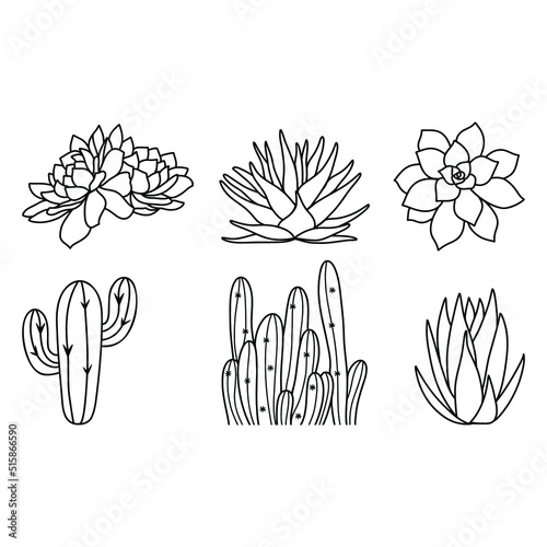 Outline succulent set of illustrations. Cactus silhouette.