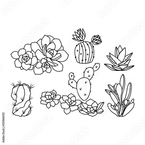 Outline succulent set of illustrations. Cactus silhouette.