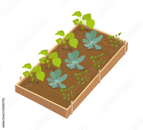 Garden bed with young sprouting plants. Vector hand drawn illustration
