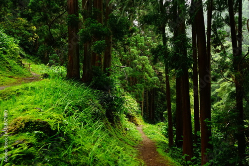 Trekking route in Sao Miguel, Azores islands, Portugal