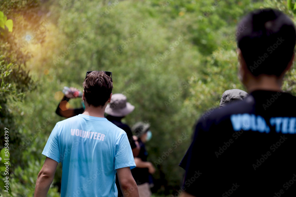 Naklejka premium Back of volunteer man in blue t-shirt doing charity work together with team in the forest, ecology people cleaning and picking up trash to reduce land pollution environmental problem.