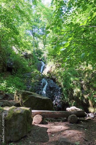 Cascade du Siehbeachle - Forêt de Wattwiller photo