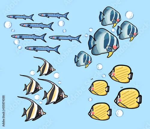 set of ocean school of fish vector, butterfly, nourish, barracuda and platax fish