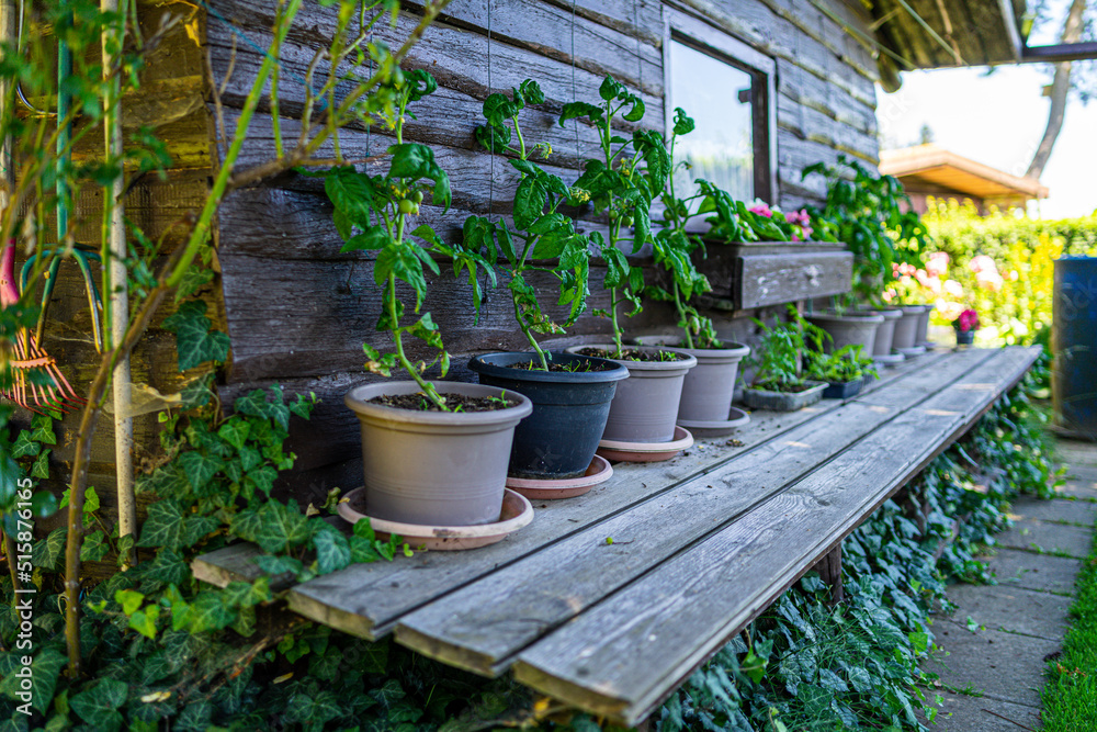 Garden Shed with Tools and Flower pots in a Garden in Lower Bavaria Garden Shed with Tools and Flower pots in a Garden in Lower Bavaria