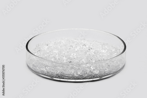 sodium chloride in petri dish, known as salt or table salt, important food preservative and popular seasoning, isolated on white background