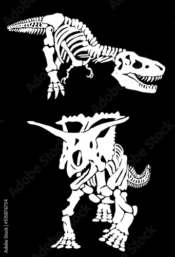Graphical set of dinosaur skeletons isolated on black background,vector silhouettes, fossils