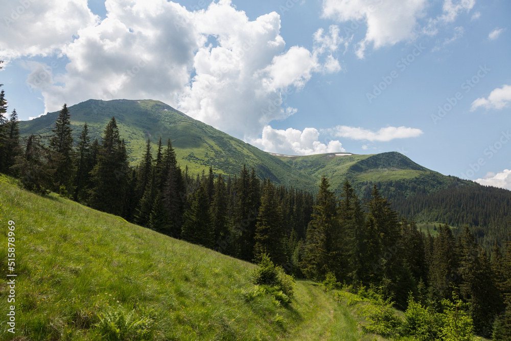 The top of Mount Petros is covered with green grass and stones on a sunny day, Hiking and tourism in Chornohora, Carpathians