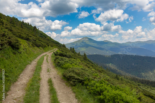 Road to the Mount Hoverla is covered with green grass and stones on a sunny day, Hiking and tourism in Carpathians