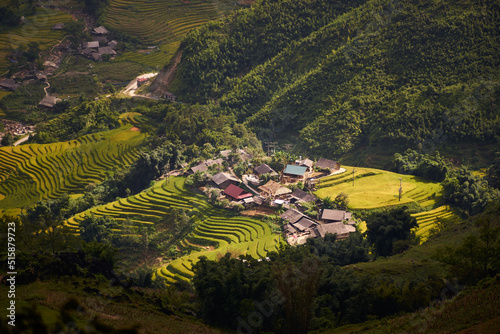 Rice on the terraced fields are ripe yellow interspersed with villages in Lao Cai  Vietnam