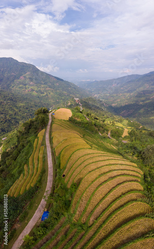 Terraced fields after rice harvest in Lao Cai, Vietnam