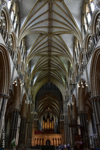 The Cathedral Church of the Blessed Virgin Mary of Lincoln .balance vault of nave.symmetrical pattern of vault.