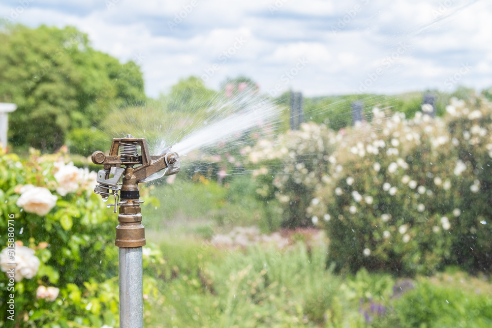 water sprinkler spraying water in the garden on a hot day water sprinkler spraying water in the garden on a hot day